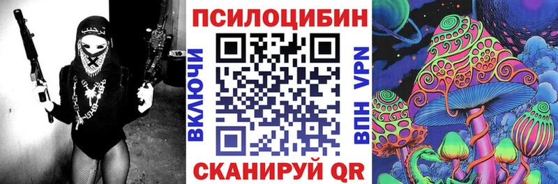 Псилоцибиновые грибы MAGIC MUSHROOMS  это клад  ОМГ ОМГ рабочий сайт  Андреаполь  как найти наркотики 