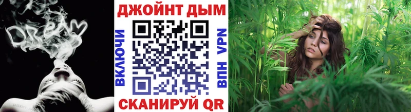 Бошки марихуана сатива Андреаполь